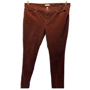 New York & Co Burgundy Corduroy Pants